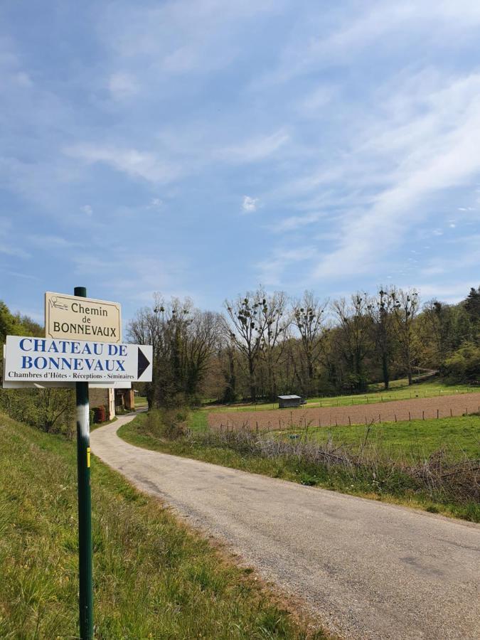 Chateau De Bonnevaux Villeneuve-de-Marc Buitenkant foto