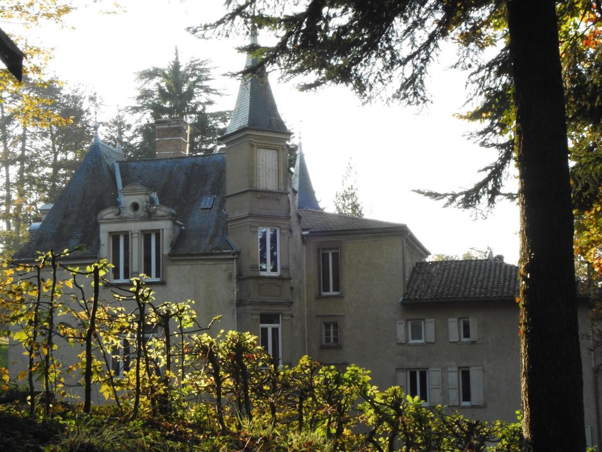 Chateau De Bonnevaux Villeneuve-de-Marc Buitenkant foto